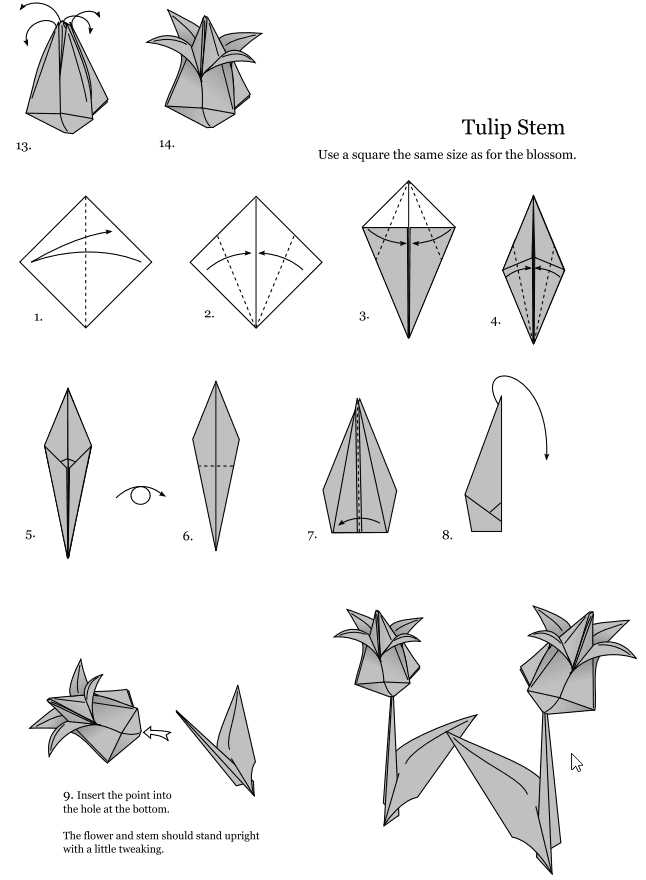 Diagrama-Origami-Tulipan